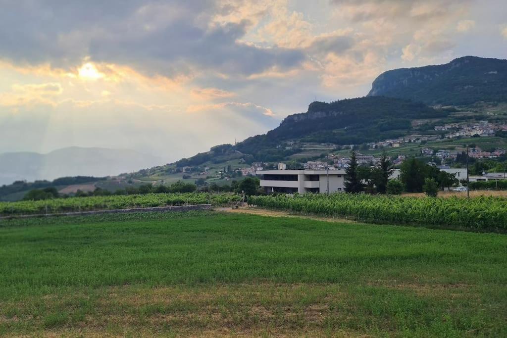Appartamenti Moderni, Luminosi E Tranquilli Con Parcheggio Privato - Agritur La Tenuta Тренто Екстер'єр фото