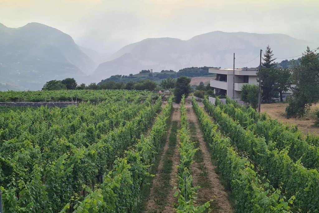 Appartamenti Moderni, Luminosi E Tranquilli Con Parcheggio Privato - Agritur La Tenuta Тренто Екстер'єр фото